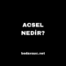 ACSEL Nedir? E-Ticarette Başarının Anahtarı