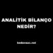 Analitik Bilanço Nedir?