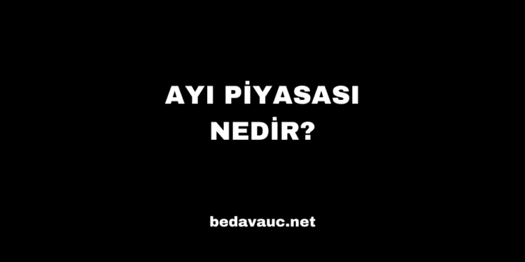 Ayı Piyasası Nedir? – Yatırımcılar İçin Kapsamlı Rehber