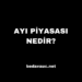 Ayı Piyasası Nedir? – Yatırımcılar İçin Kapsamlı Rehber