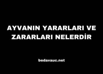 Ayvanın Yararları ve Zararları Nelerdir