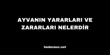 Ayvanın Yararları ve Zararları Nelerdir