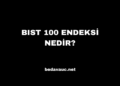 BIST 100 Endeksi Nedir?