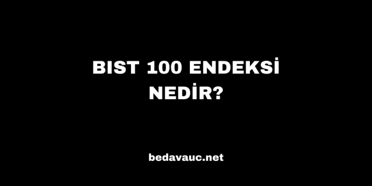 BIST 100 Endeksi Nedir?