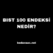 BIST 100 Endeksi Nedir?
