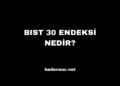 BIST 30 Endeksi Nedir?