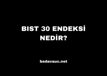 BIST 30 Endeksi Nedir?