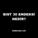 BIST 30 Endeksi Nedir?