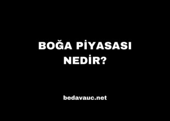 Boğa Piyasası Nedir?