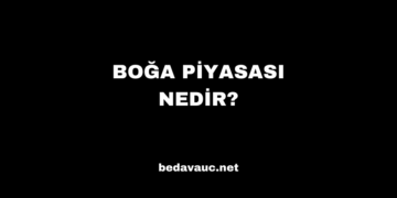 Boğa Piyasası Nedir?