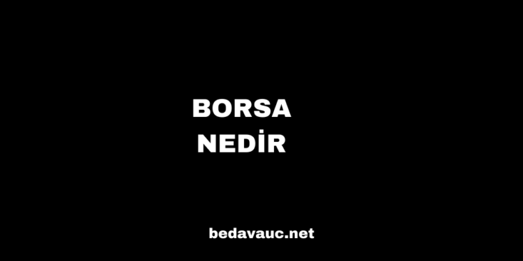 Borsa Nedir? | Temel Kavramlardan Yatırım Araçlarına