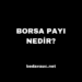 Borsa Payı Nedir?
