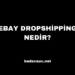 Ebay Dropshipping: İnternetten Para Kazanmak İçin Yeni Bir Yöntem