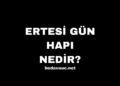 Ertesi Gün Hapı Nedir? Kullanımı, Avantajları ve Riskleri Nelerdir?