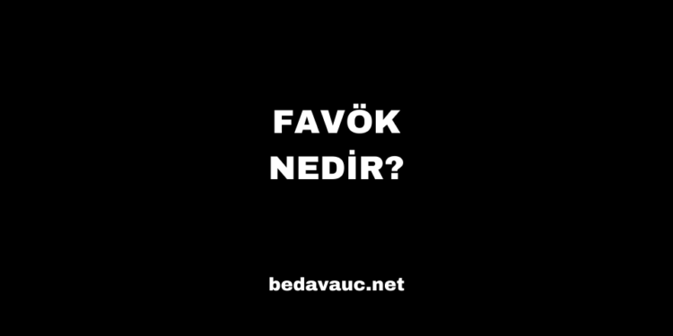 FAVÖK Nedir?