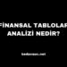 Finansal Tablolar Analizi Nedir?