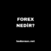 Forex Nedir?