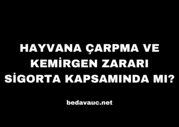 Hayvana Çarpma ve Kemirgen Zararı Sigorta Kapsamında mı?