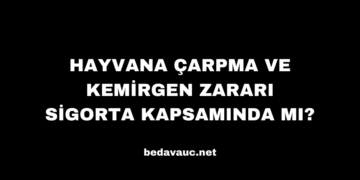 Hayvana Çarpma ve Kemirgen Zararı Sigorta Kapsamında mı?