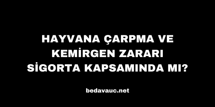 Hayvana Çarpma ve Kemirgen Zararı Sigorta Kapsamında mı?