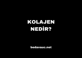 Kolajen Nedir, Faydaları Nelerdir?