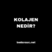 Kolajen Nedir, Faydaları Nelerdir?