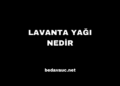 Lavanta Yağı Nedir, Nasıl Elde Edilir, Nerede Kullanılır?