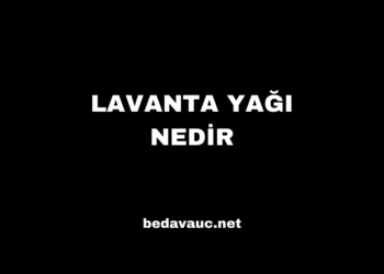 Lavanta Yağı Nedir, Nasıl Elde Edilir, Nerede Kullanılır?