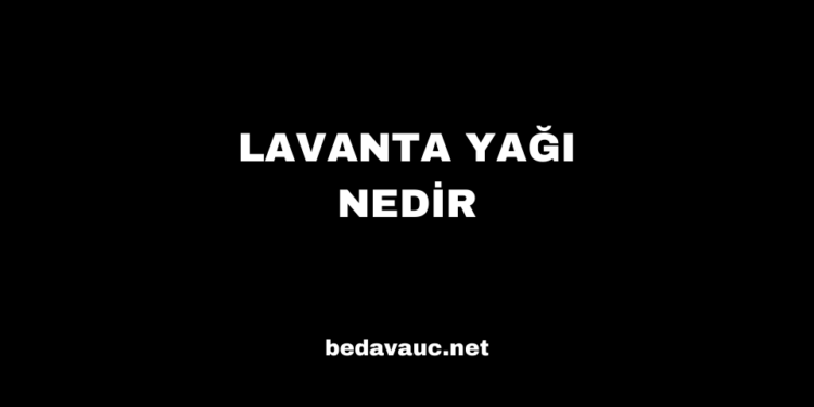 Lavanta Yağı Nedir, Nasıl Elde Edilir, Nerede Kullanılır?