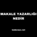 Makale Yazarlığı Nedir, Nasıl Para Kazanılır?