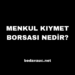Menkul Kıymet Borsası Nedir?