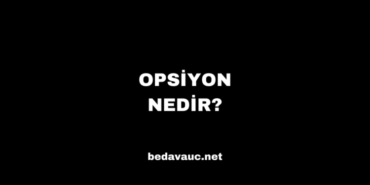 Opsiyon Nedir? Opsiyon Örnekleri ve Açıklamaları