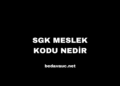SGK Meslek Kodu Nedir, Ne İşe Yarar?