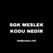 SGK Meslek Kodu Nedir, Ne İşe Yarar?
