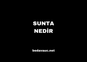 Sunta Nedir, Ne İşe Yarar, Hangi Alanlarda Kullanılır?