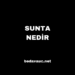 Sunta Nedir, Ne İşe Yarar, Hangi Alanlarda Kullanılır?