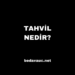 Tahvil Nedir?