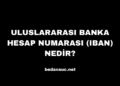 Uluslararası Banka Hesap Numarası (IBAN) Nedir?