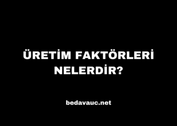 Üretim Faktörleri Nelerdir?