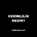 Verimlilik Nedir? Verimliliğin Vazgeçilmeyen 4 Maddesi
